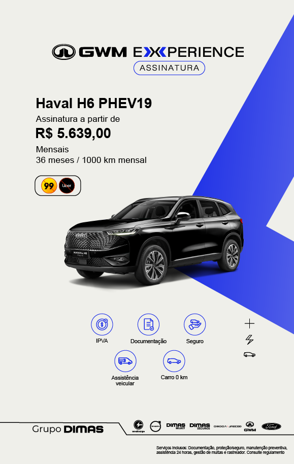 Haval Phev 19